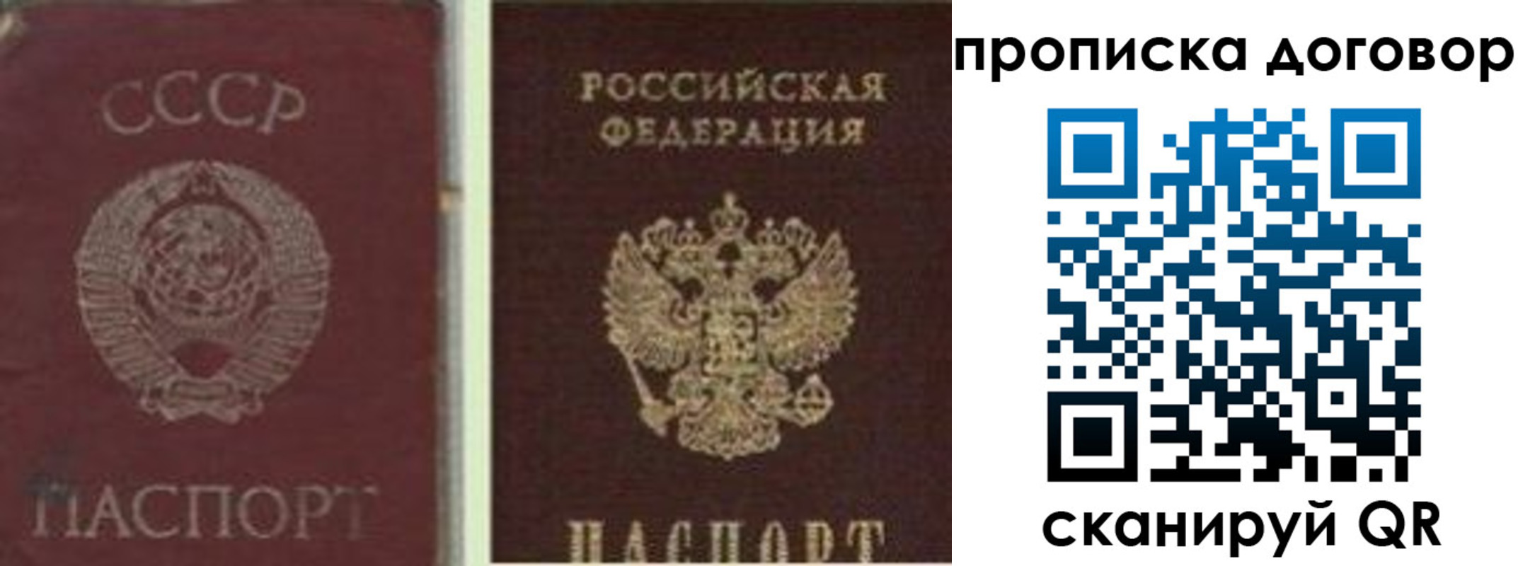 прописка гарантия в Санкт-Петербурге